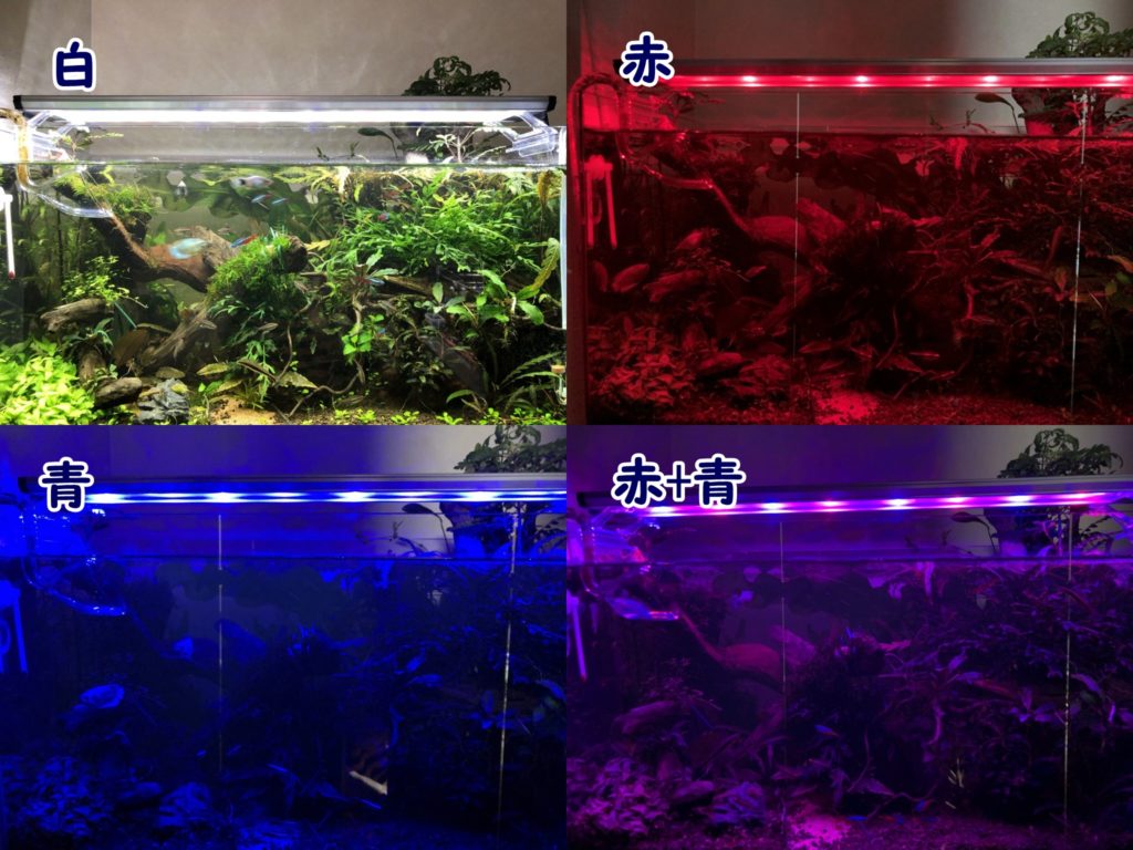 GEX クリア LED POWER Ⅲ 900【新品未使用】 - 魚用品/水草