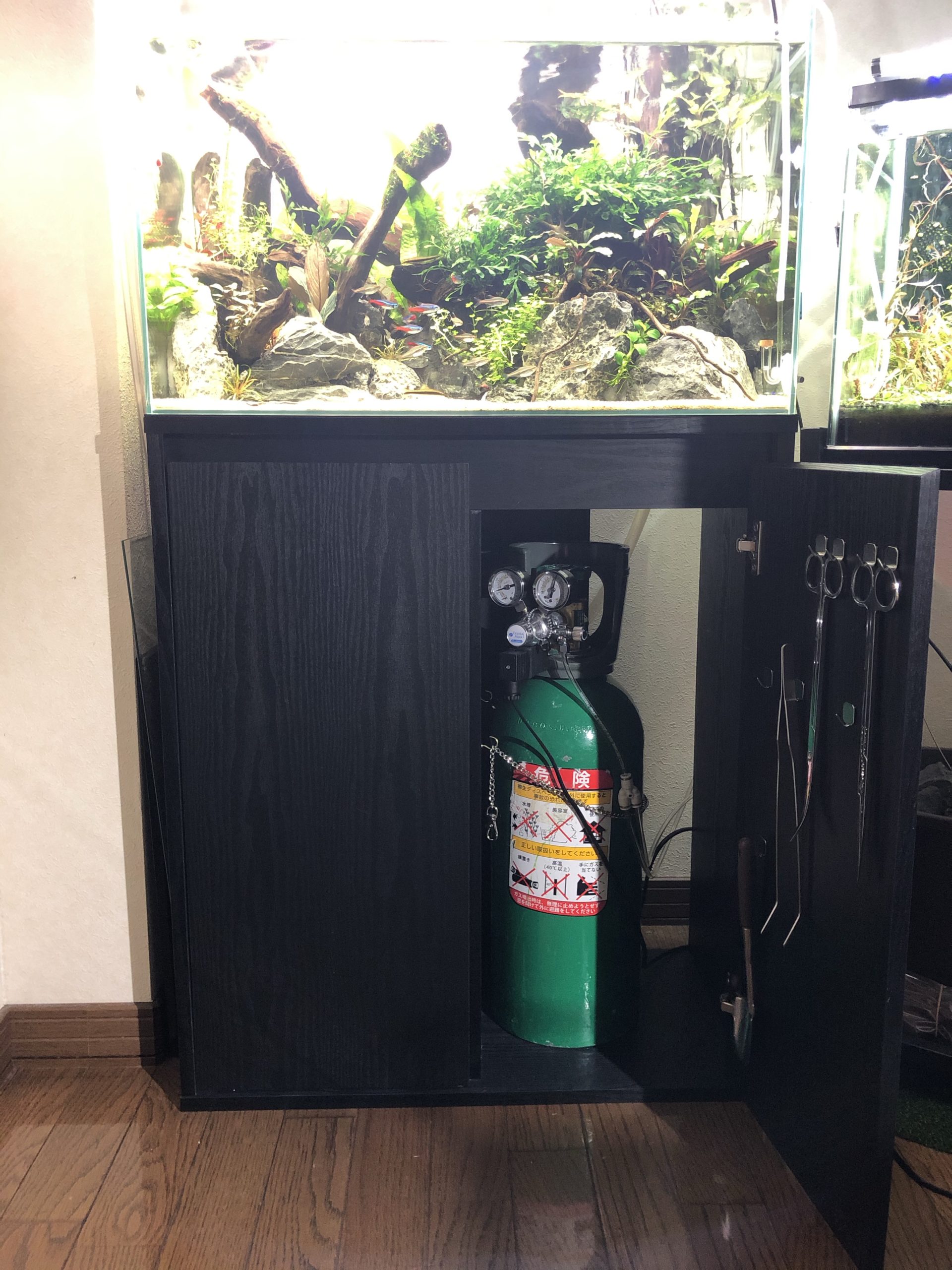 ＧＥＸ 水槽台 アクアラック ウッド ６００ＷＨ ６０ｃｍ お一