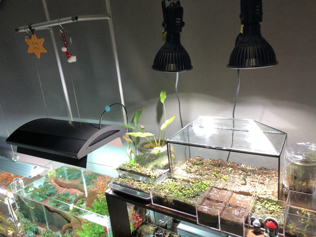 【美品】BARREL AMATERAS LED アマテラス20W 植物 水槽