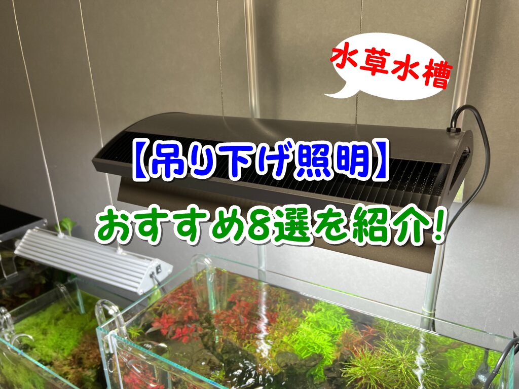 水上葉も育つ おすすめの吊り下げ照明8選を紹介 水草水槽用 アクアリウム北海道