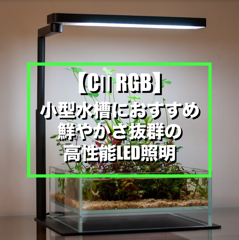 Chihiros CⅡ RGB】鮮やかさ抜群！小型水槽に超おすすめのLED照明 