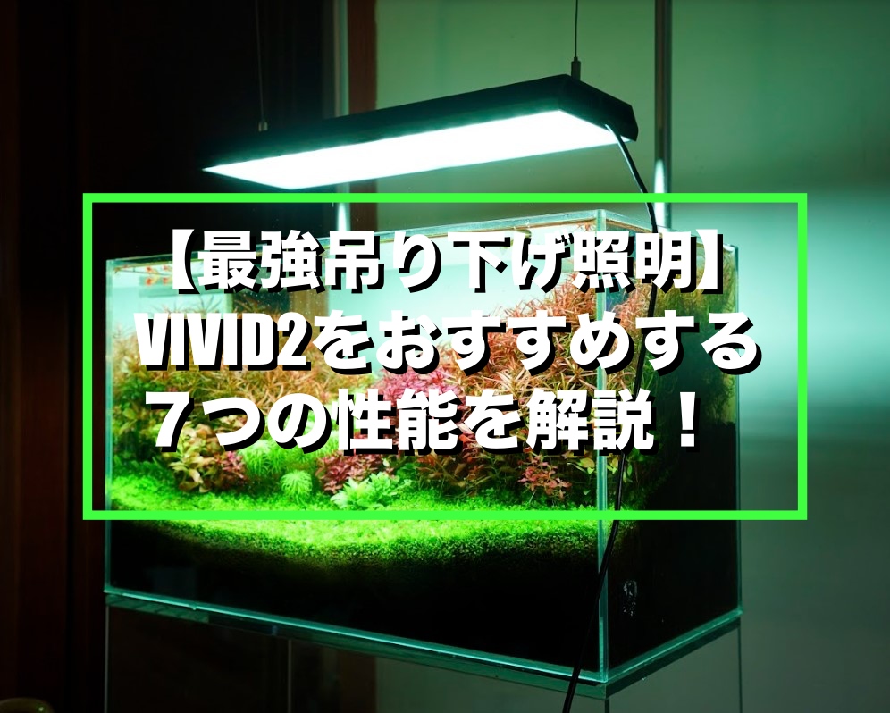 Chihiros RGB VIVID Ⅱ 千尋 VIVID2 LEDライト - 魚用品/水草