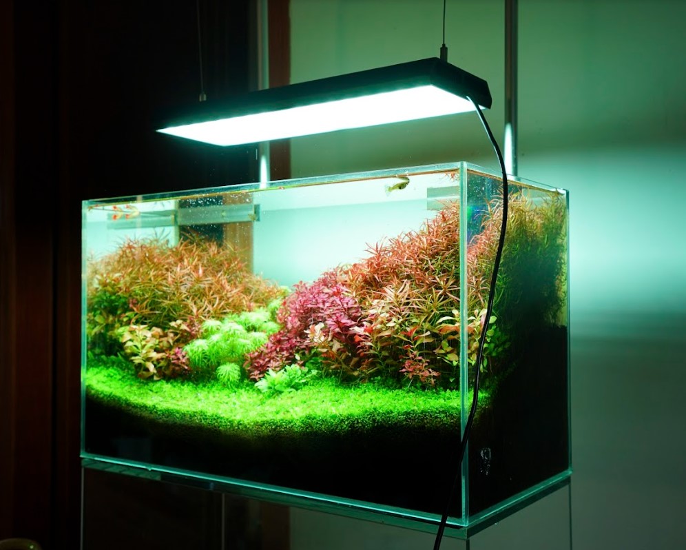 Chihiros LED WRGB2 30 熱帯魚 水草 アクアリウム 水槽照明 - ライト 