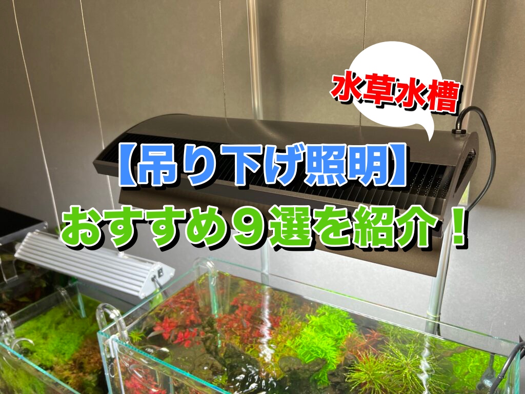 水上葉も育つ おすすめの吊り下げ照明9選を紹介 水草水槽用 アクアリウム北海道