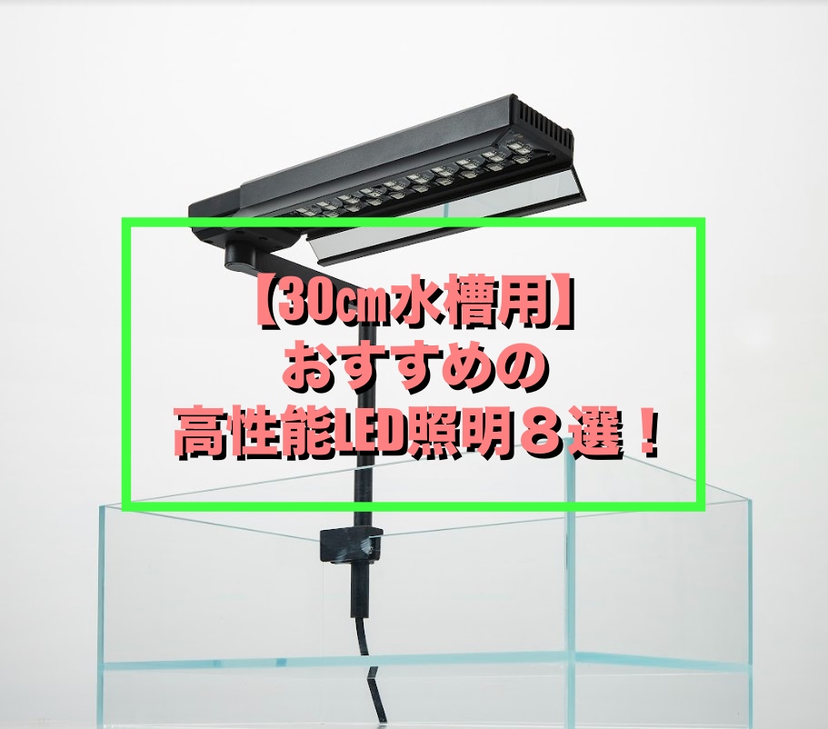 現品 セティアワークス 店SOHO 1:11 M.2 SSDデュプリケーター HDC-PV1100 