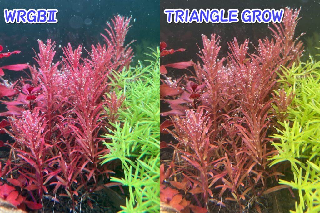 アクロ TRIANGLE LED VIVID 600 水草育成 照明 ライト - www.onkajans.com