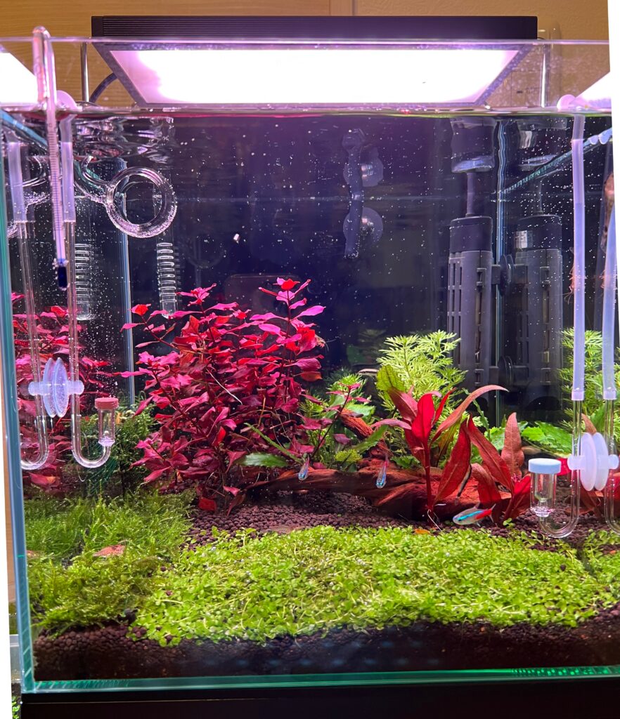 【1円～売切り】60cm水槽機器セット エーハイム2213 GEX CLEAR POWER 3 600 LED テトラ AT-50 GEX サーモ FE-101N GEX ヒーター SH160他 60cm水槽セット ハイタイプ エーハイム2213 送料込み