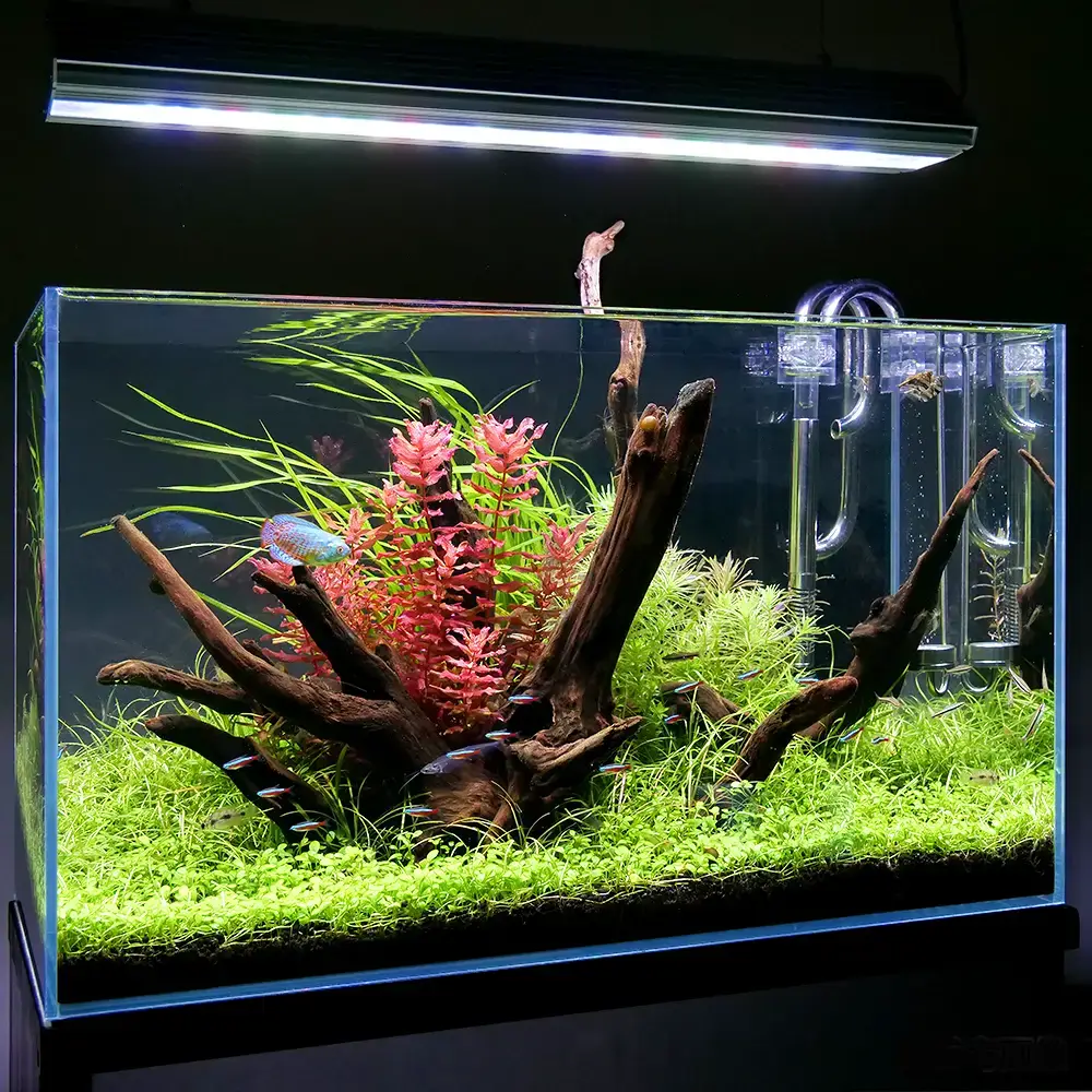 ADA AQUASKY 水草育成用LED照明 - ライト・照明器具