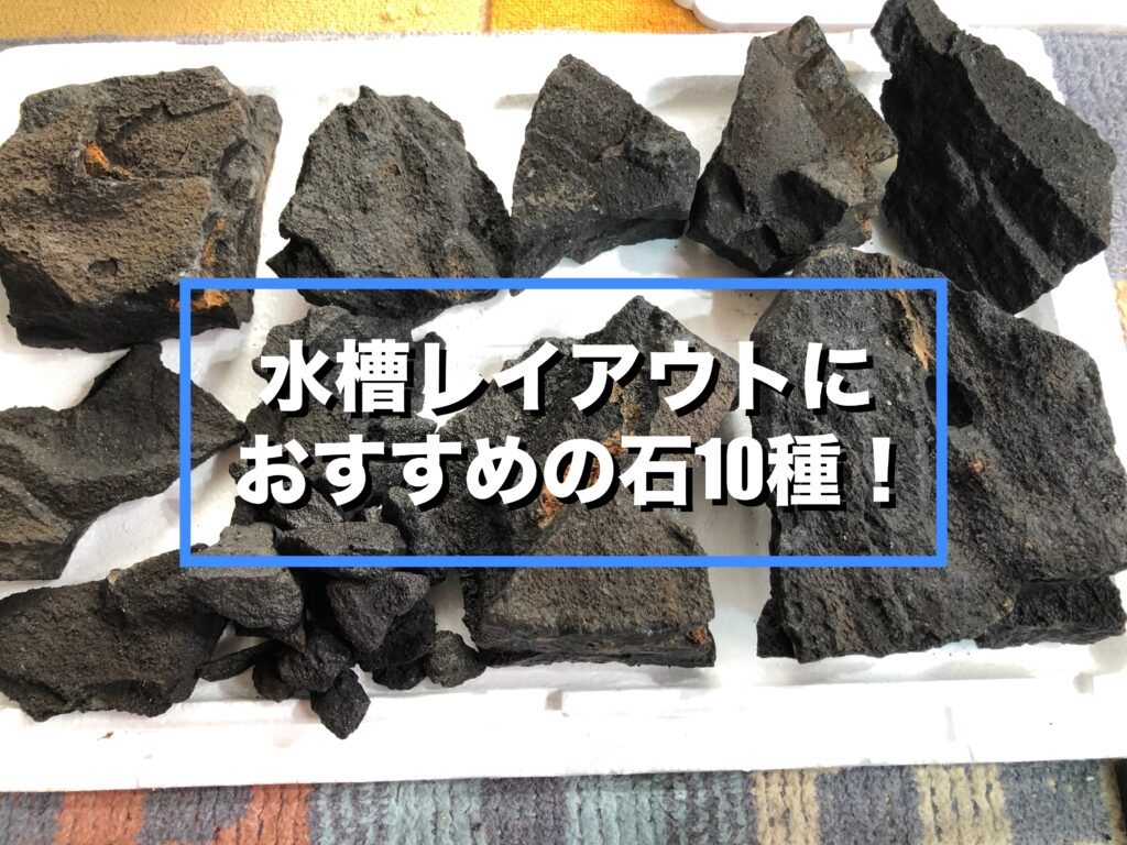 石選びがわかる！】水槽レイアウトにおすすめの石10種を紹介！ アクアリウム北海道